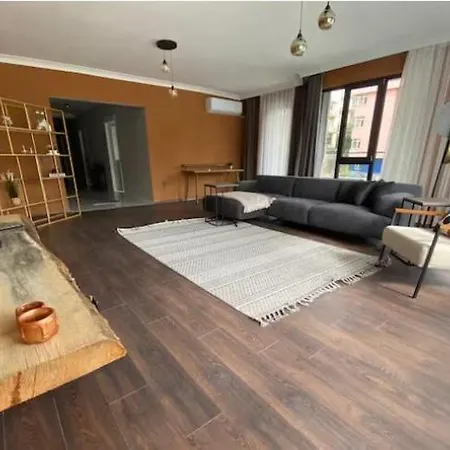 1005 Spacious 3 1 And Close To Consulates