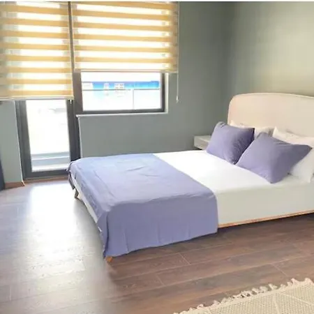 아파트 1005 Spacious 3 1 And Close To Consulates 앙카라