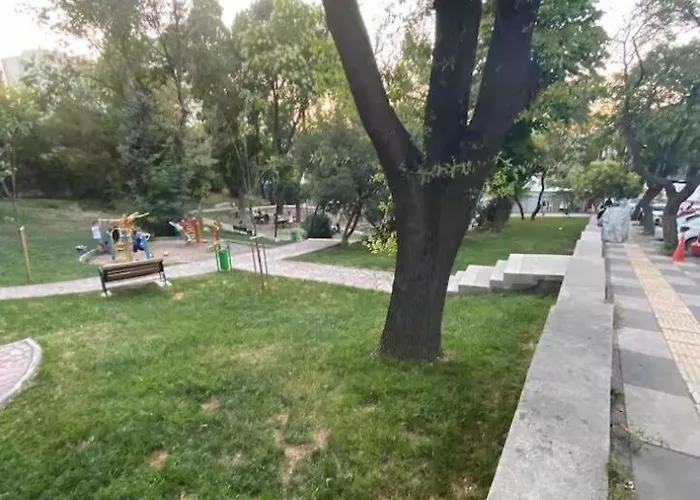 1005 Spacious 3 1 And Close To Consulates