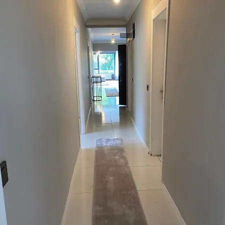 1005 Spacious 3 1 And Close To Consulates *
