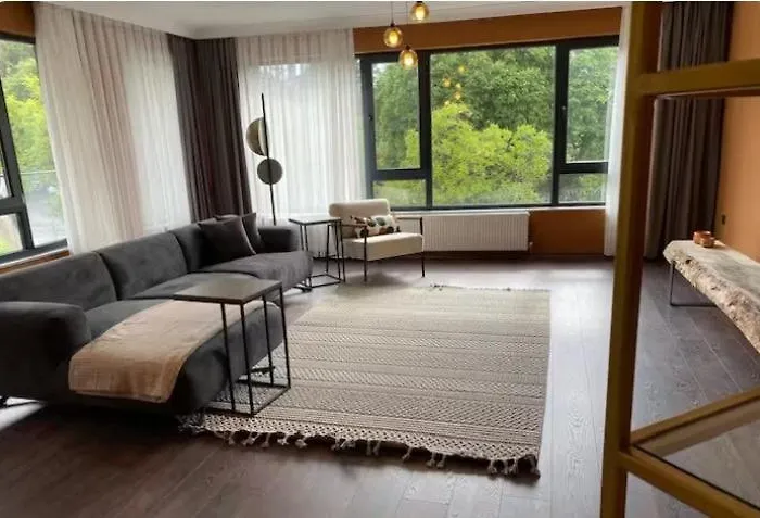 1005 Spacious 3 1 And Close To Consulates アンカラ