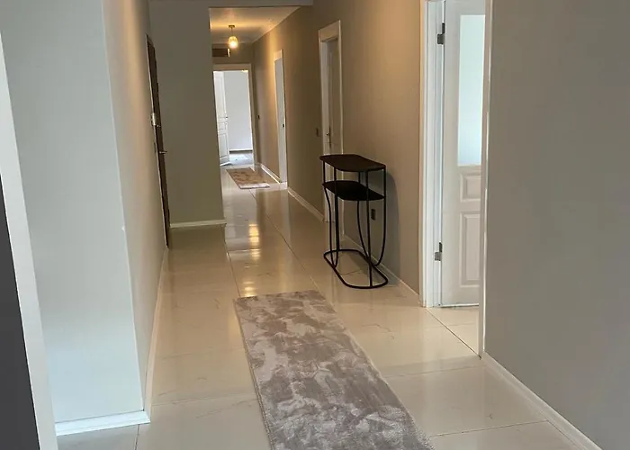 דירה 1005 Spacious 3 1 And Close To Consulates