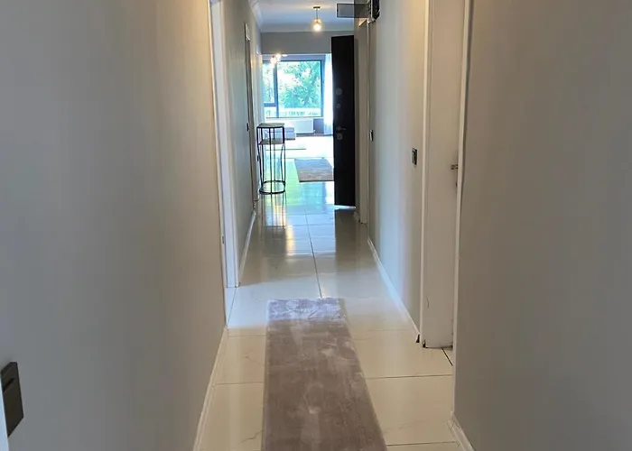 1005 Spacious 3 1 And Close To Consulates *