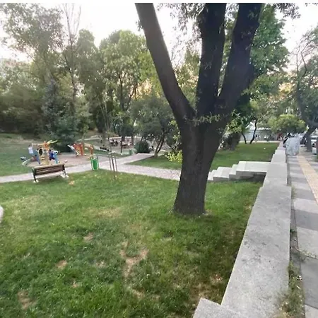 1005 Spacious 3 1 And Close To Consulates