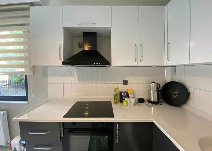 1005 Spacious 3 1 And Close To Consulates * アンカラ