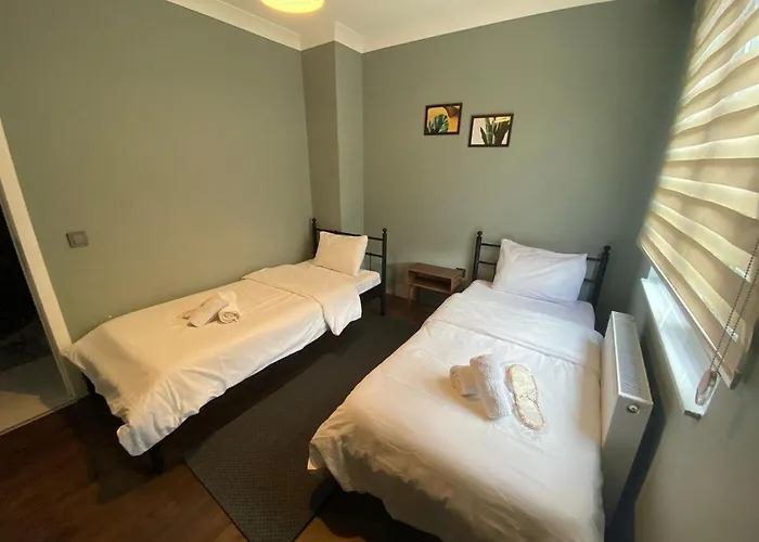 1005 Spacious 3 1 And Close To Consulates