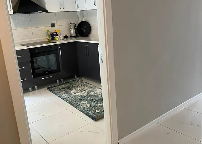 Apartman 1005 Spacious 3 1 And Close To Consulates